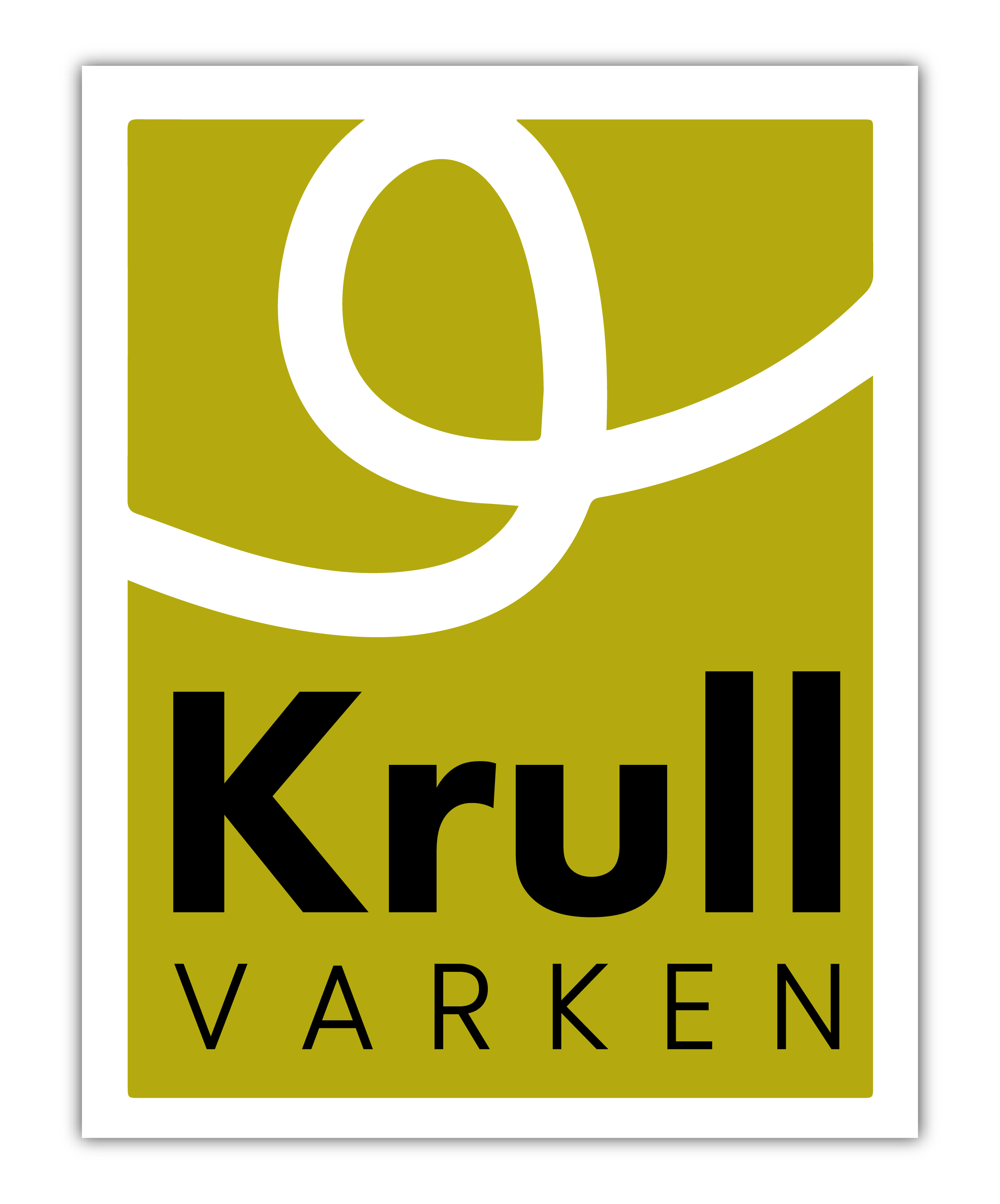 Krullvarken